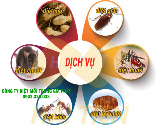 diệt côn trùng quận Ninh Kiều Cần Thơ