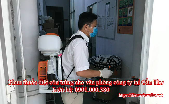 Phun thuốc diệt côn trùng cho văn phòng công ty tại Cần Thơ