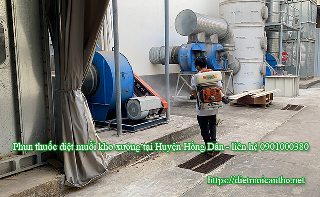 Kỹ thuật phun thuốc diệt muỗi cho kho xưởng tại huyện Hồng Dân