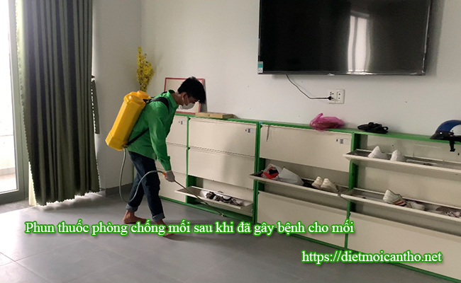 Phòng chống mối quanh khu vực đã được diệt mối