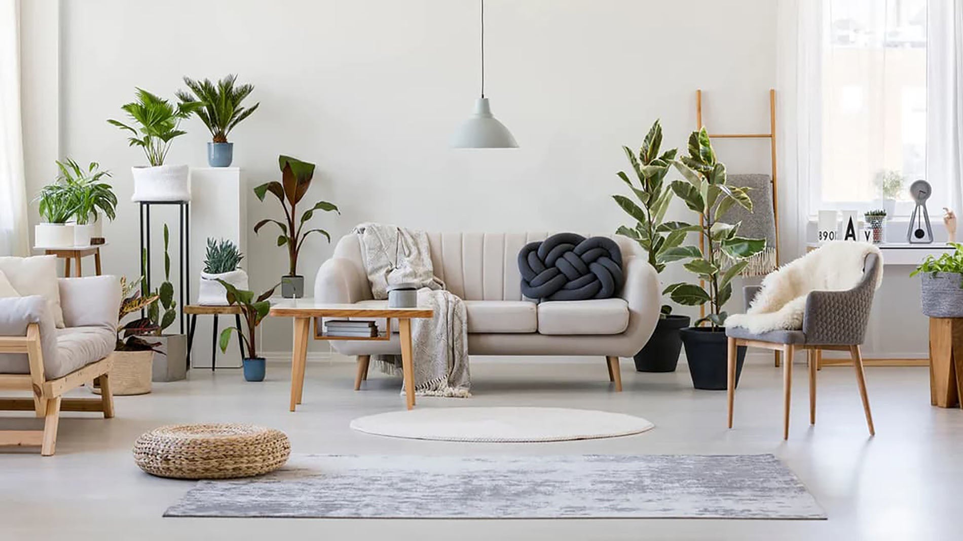 10 sai lầm khiến nhà bạn thiếu sức sống và cách khắc phục đơn giản - 1