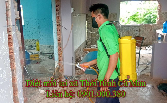 Dịch vụ diệt mối tận gốc tại xã Thới Bình Cà Mau. 