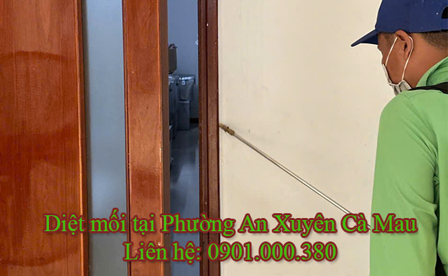 Dịch vụ diệt mối tại Phường An Xuyên uy tín