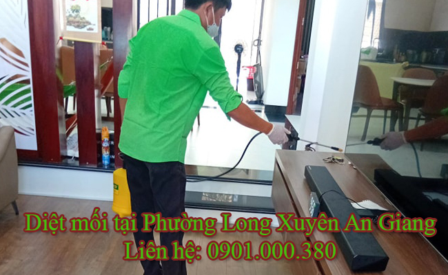 Diệt mối tại Phường Long Xuyên tận gốc 100%