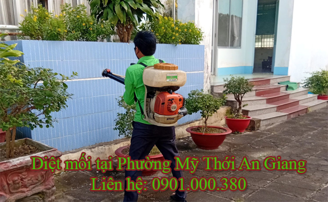 Diệt mối tại Phường Mỹ Thới tận gốc 100%