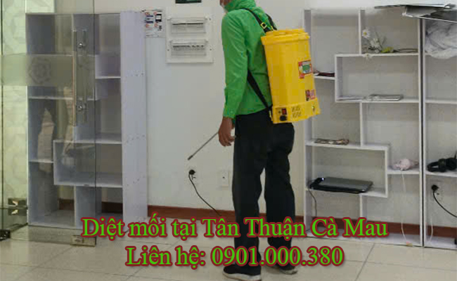 Dịch vụ diệt mối tại Tân Thuận Cà Mau uy tín Dịch vụ diệt mối tại Tân Thuận Cà Mau uy tín