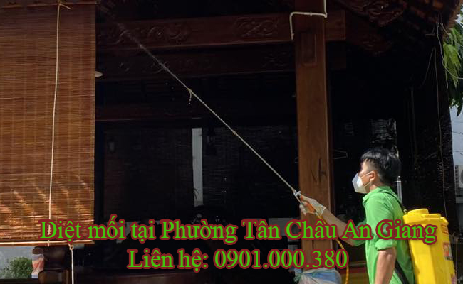Dịch vụ diệt mối tại Phường Tân Châu tận gốc 100% Dịch vụ diệt mối tại Phường Tân Châu tận gốc 100%