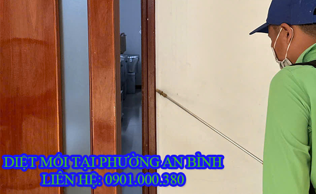 Dịch vụ diệt mối tại Phường An Bình TP Cần Thơ.