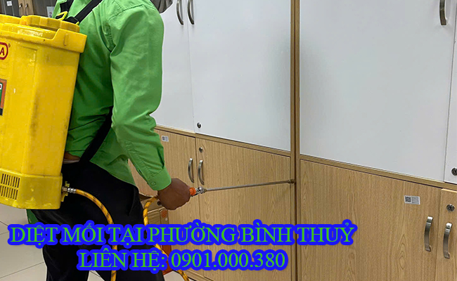 Dịch vụ diệt mối tại Phường Bình Thuỷ chuyên nghiệp giá cạnh tranh.