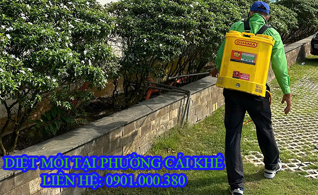 Diệt mối tại Phường Cái Khế uy tín. Diệt mối tại Phường Cái Khế uy tín.