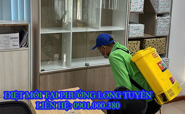 Dịch vụ diệt mối tại Phường Long tuyền an toàn.