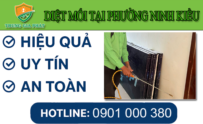 Dịch vụ diệt mối tại Phường Ninh Kiều uy tín. Dịch vụ diệt mối tại Phường Ninh Kiều uy tín.
