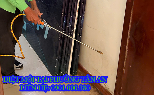 Dịch vụ diệt mối tận gốc tại Phường Tân An TP Cần Thơ. Dịch vụ diệt mối tận gốc tại Phường Tân An TP Cần Thơ.