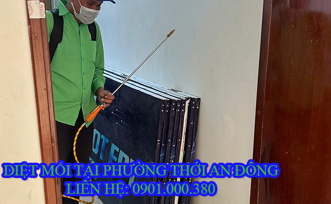 Dịch vụ diệt mối tại Phường Thới An Đông uy tín. Dịch vụ diệt mối tại Phường Thới An Đông uy tín.