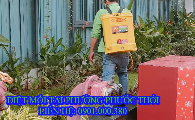 Dịch vụ diệt mối tại Phường Phước Thới Cần Thơ uy tín