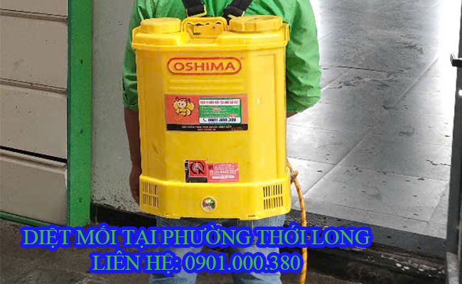 Diệt mối tại Phường Thới Long Cần Thơ chất lượng cao. Diệt mối tại Phường Thới Long Cần Thơ chất lượng cao.