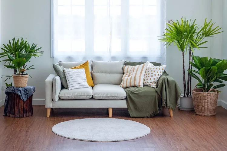 Phòng khách chật hơn vì 5 lỗi, chuyên gia chỉ cách sửa - 1