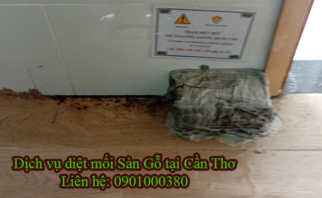 Dịch vụ diệt mối Sàn Gỗ tại Cần Thơ uy tín. Dịch vụ diệt mối Sàn Gỗ tại Cần Thơ uy tín.