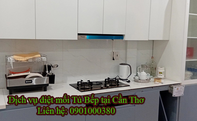 Dịch vụ diệt mối tủ bếp tại Cần Thơ chất lượng cao.