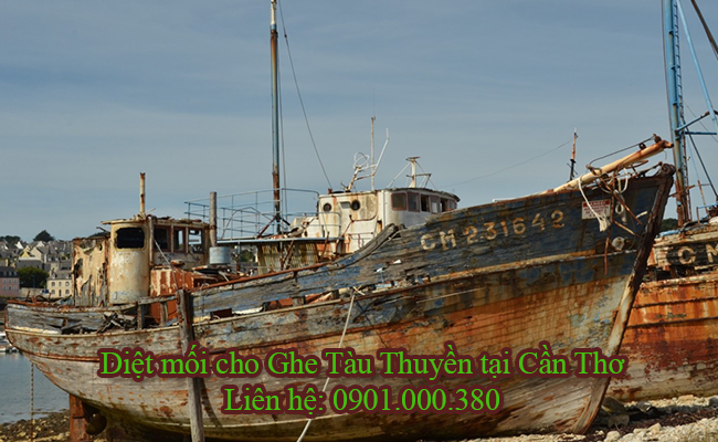 Diệt mối cho Ghe Tàu Thuyền tại Cần Thơ uy tín chất lượng cao. Diệt mối cho Ghe Tàu Thuyền tại Cần Thơ uy tín chất lượng cao.