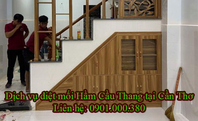 Dịch vụ diệt mối Hầm Cầu Thang tại Cần Thơ bằng phương pháp sinh học.