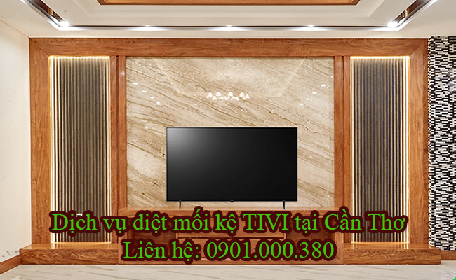 Diệt mối Kệ TIVI tại Cần Thơ bằng phương pháp sinh học giúp hạn chế việc tháo dỡ. Diệt mối Kệ TIVI tại Cần Thơ bằng phương pháp sinh học giúp hạn chế việc tháo dỡ.