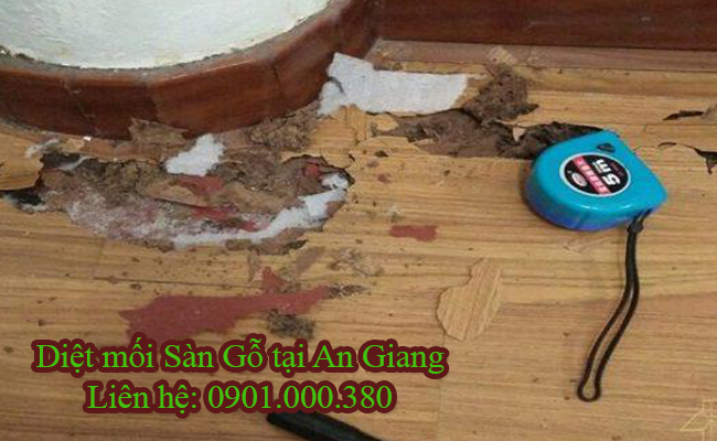 Dịch vụ diệt mối sàn gỗ tại An Giang chuyên nghiệp.