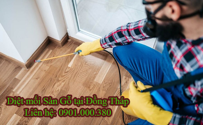 Dịch vụ diệt mối Sàn Gỗ tại Đồng Tháp uy tín. Dịch vụ diệt mối Sàn Gỗ tại Đồng Tháp uy tín.