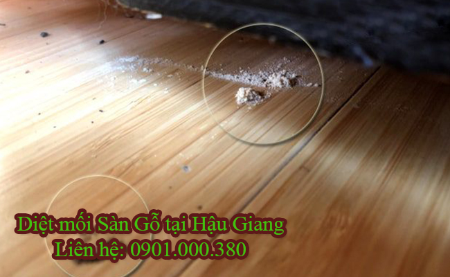 Dịch vụ diệt mối sàn gỗ tại Hậu Giang không khoan đục. Dịch vụ diệt mối sàn gỗ tại Hậu Giang không khoan đục.