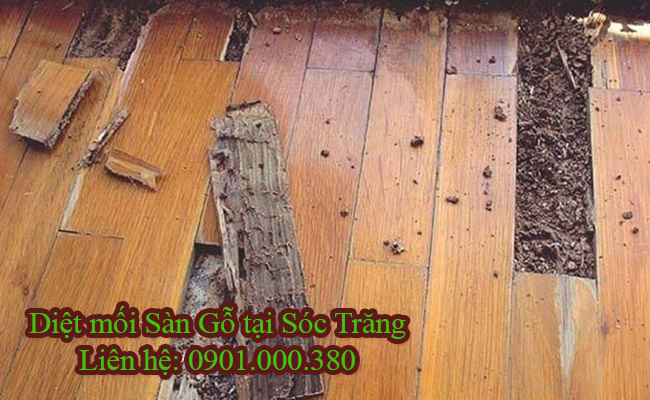 Dịch vụ diệt mối sàn gỗ tại Sóc Trăng uy tín. Dịch vụ diệt mối sàn gỗ tại Sóc Trăng uy tín.
