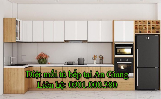 Dịch vụ diệt mối tủ bếp tại An Giang chuyên nghiệp.
