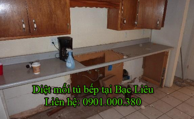 Dịch vụ diệt mối tủ bếp tại Bạc Liêu Dịch vụ diệt mối tủ bếp tại Bạc Liêu