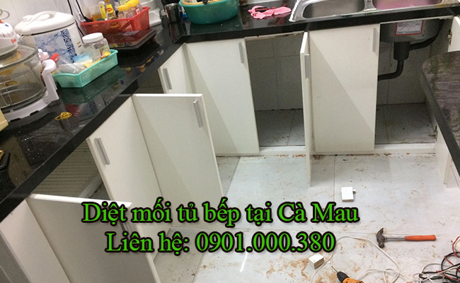 Dịch vụ diệt mối tủ bếp tại Cà Mau bằng phương pháp sinh học an toàn.