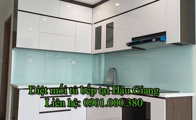 Dịch vụ diệt mối tủ bếp tại Hậu Giang an toàn và tiết kiệm nhất.