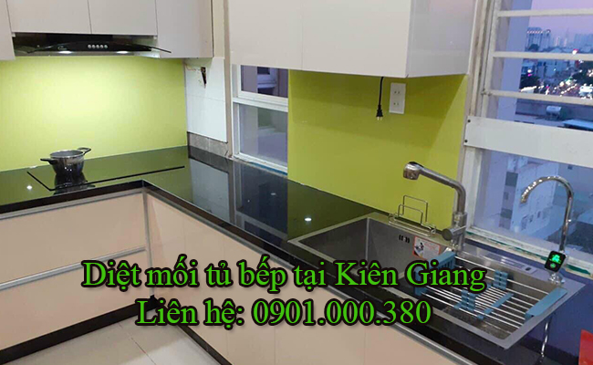 Dịch vụ diệt mối tủ bếp tại Kiên Giang chuyên nghiệp. Dịch vụ diệt mối tủ bếp tại Kiên Giang chuyên nghiệp.