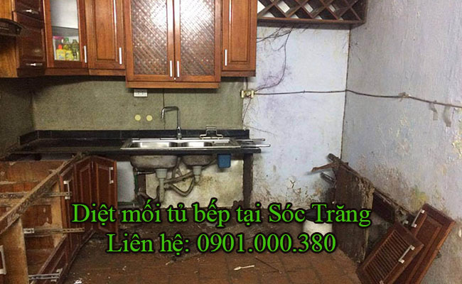 Dịch vụ diệt mối tủ bếp tại Sóc Trăng uy tín bảo hành 12 tháng.