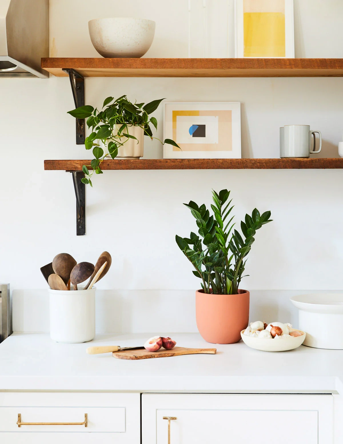 6 loại cây trồng cho phòng bếp, giúp hút mùi, chịu nhiệt, rước tài lộc - 6 6 loại cây trồng cho phòng bếp, giúp hút mùi, chịu nhiệt, rước tài lộc - 6