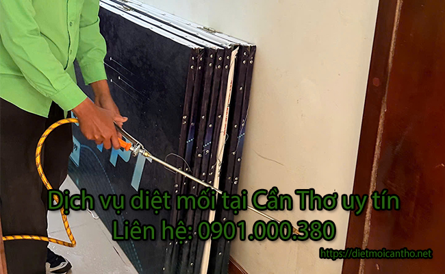 Dịch vụ diệt mối tại Cần Thơ uy tín. Dịch vụ diệt mối tại Cần Thơ uy tín.