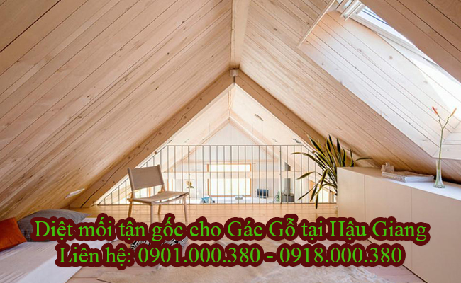 Dịch vụ diệt mối gác gỗ tại Hậu Giang uy tín chuyên nghiệp.