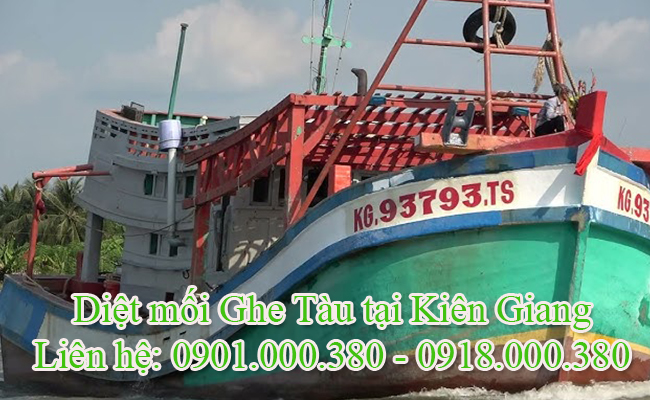 Dịch vụ diệt mối Ghe Tàu tại Kiên Giang chuyên nghiệp.