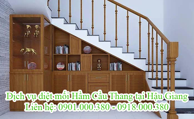 Dịch vụ diệt mối hầm cầu thang tại Hậu Giang uy tín