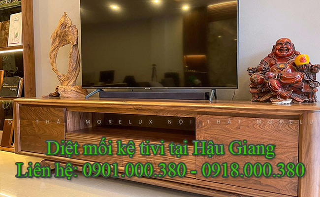 Dịch vụ diệt mối kệ tivi tại Hậu Giang an toàn.