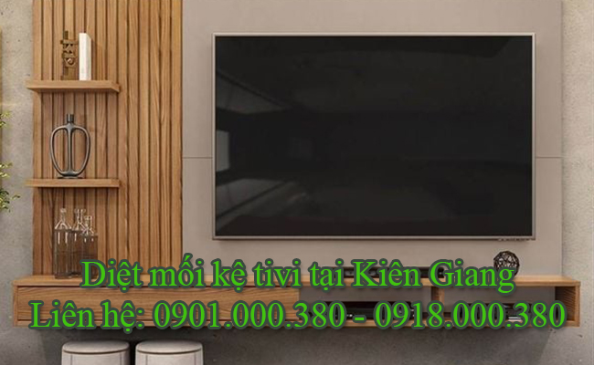 Dịch vụ diệt mối kệ tivi tại Kiên Giang chất lượng cao.