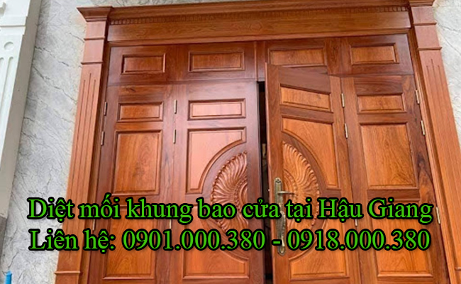 Dịch vụ diệt mối khung bao cửa gỗ tại Hậu Giang không cần tháo cửa.