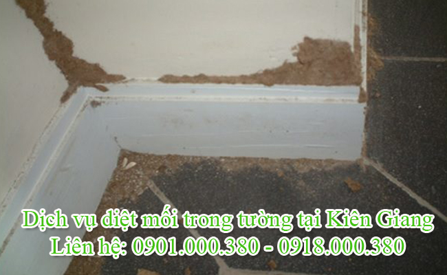 Dịch vụ diệt mối trong tường nhà tại Kiên Giang chuyên nghiệp. Dịch vụ diệt mối trong tường nhà tại Kiên Giang chuyên nghiệp.
