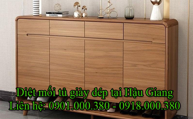 Dịch vụ diệt mối tủ giày dép tại Hậu Giang chuyên nghiệp