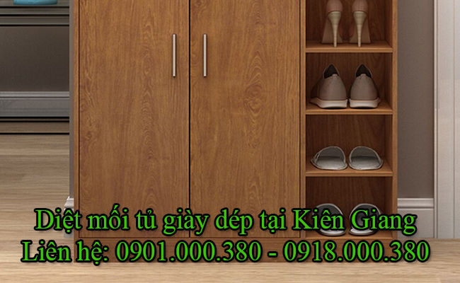 Dịch vụ diệt mối tủ giày dép tại Kiên Giang bằng phương pháp sinh học.