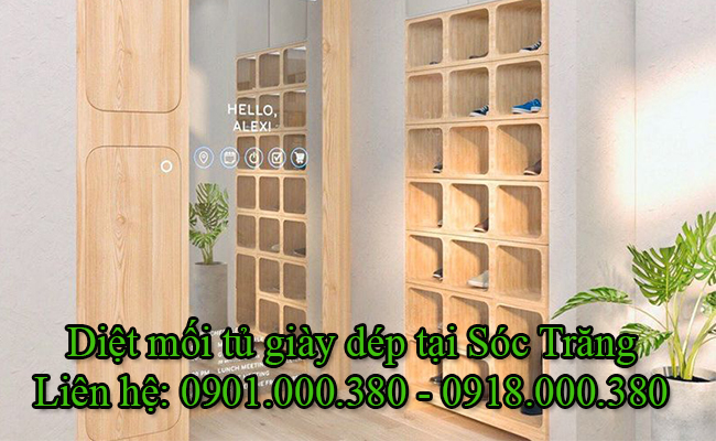 Dịch vụ diệt mối tủ giày dép tại Sóc Trăng uy tín.