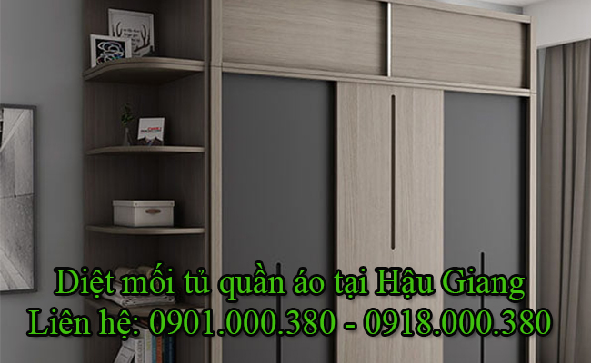 Dịch vụ diệt mối tủ quần áo tại Hậu Giang không cần tháo dỡ.