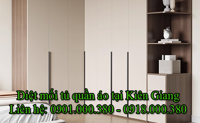 Dịch vụ diệt mối tủ quần áo tại Kiên Giang chuyên nghiệp.